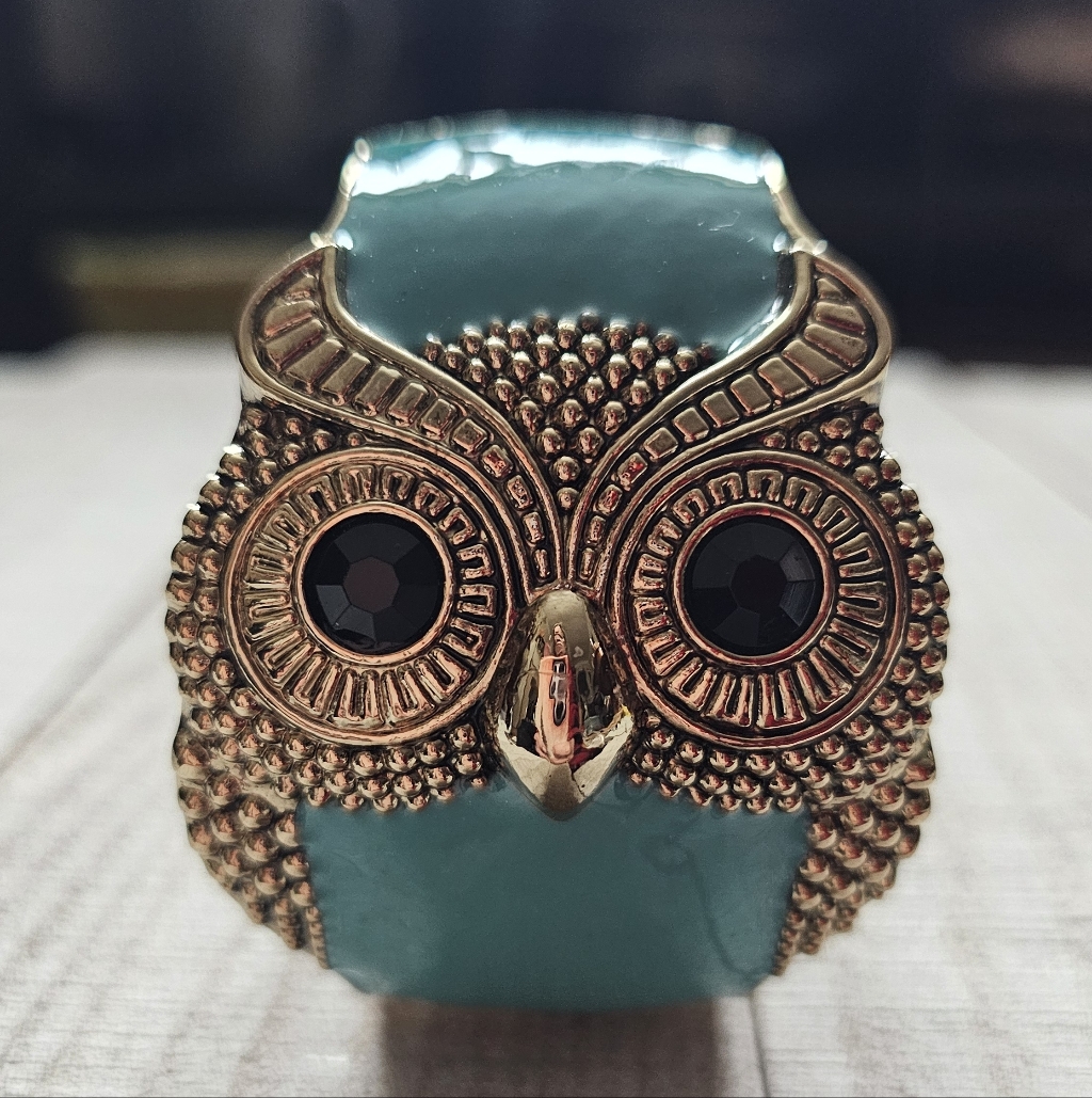 Owl Bracelet. Enamel Bracelet. Owl Bangle. Hinged Cuff.